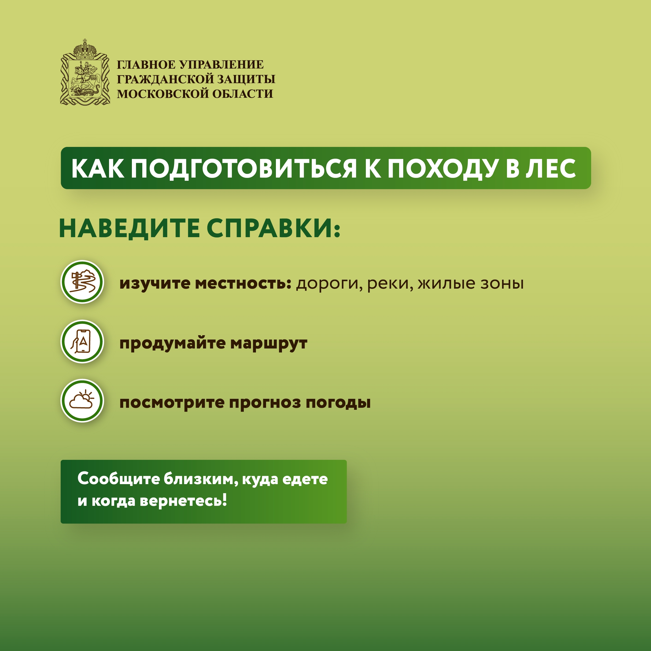 🌳 К походу в лес нужно готовиться основательно.