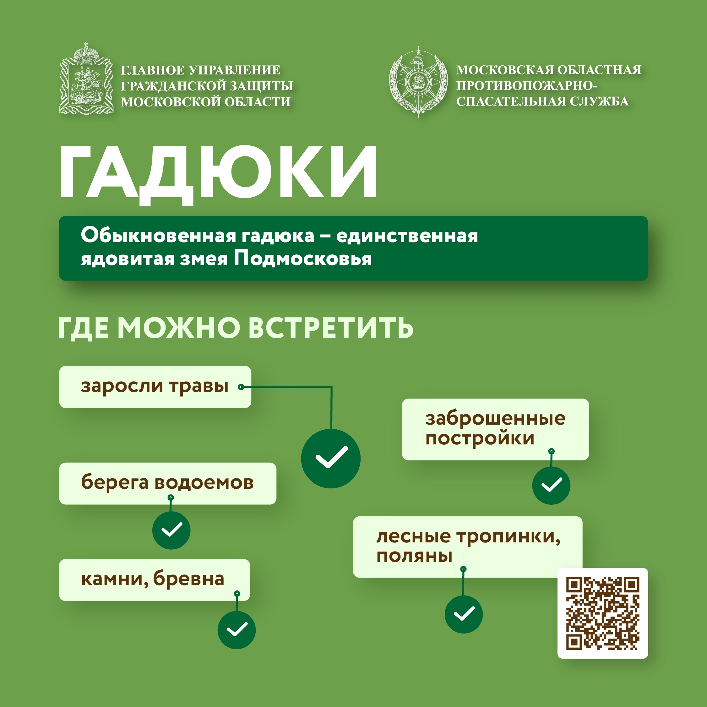 🐍 Единственная ядовитая змея в Подмосковье — гадюка обыкновенная.